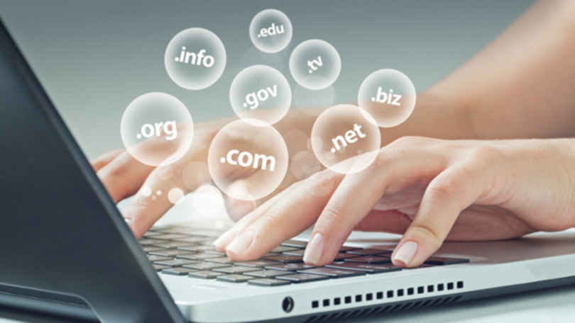 What domain names are used for on the internet. 
